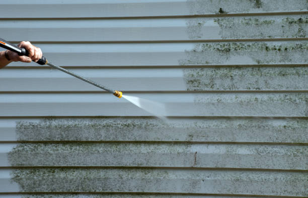Best Patio and Deck Pressure Washing  in Mathews, VA